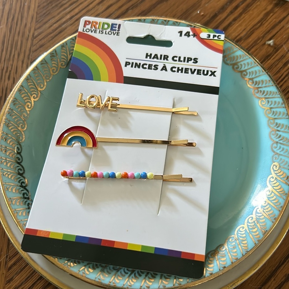 PRIDE Day Hair Pins